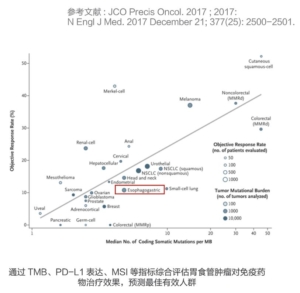 尊龙凯时【官网首页】人生就是博!